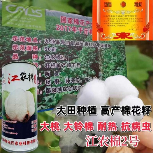 国审江农绵2号棉花种子耐热抗病虫棉花籽子荣获技术改进一等奖