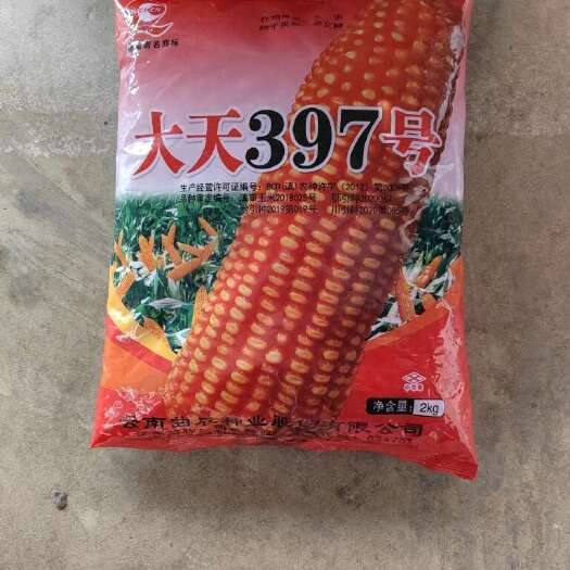 大天397号