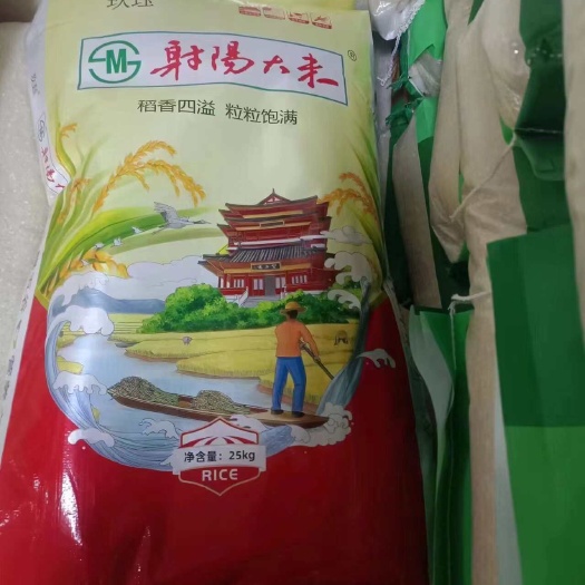 阜宁县射阳大米