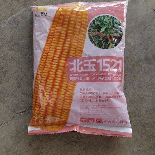 北玉1521玉米种子