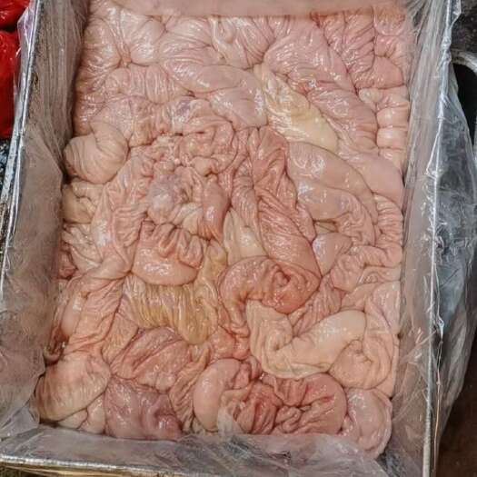 澄江市猪肠 猪大肠