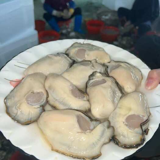 饶平县乳山生蚝肉