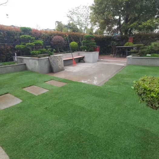 句容市百信园艺场 剪股颖草坪草皮 别墅庭院足球场 基地发货一手