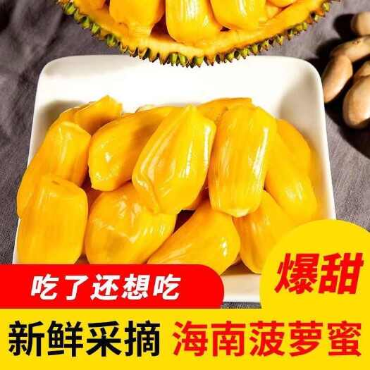 海口海南菠萝蜜黄肉一号10-40斤对接商超电商一件代发