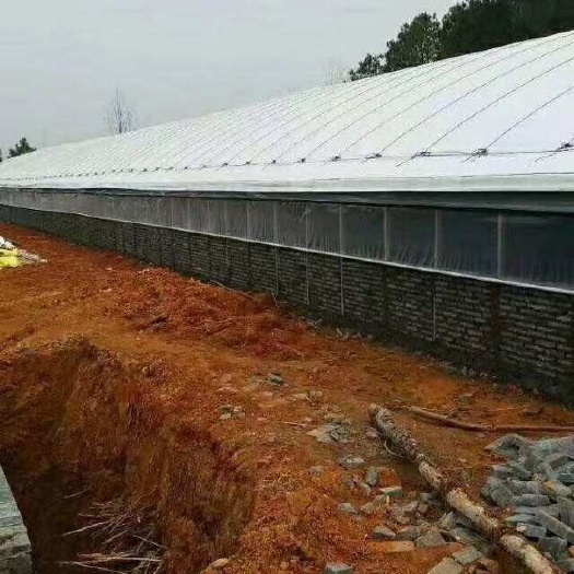 怀远县专业设计安装养殖大棚