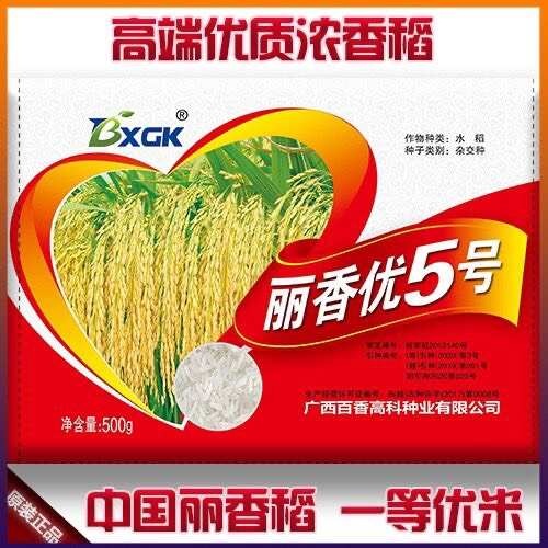 凯里市丽香优国标一级香米杂交水稻种早晚稻中稻水稻种子香米水稻种子