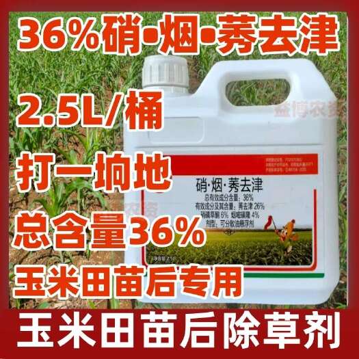 荥阳市36%硝烟莠去津硝磺草酮烟嘧磺隆大桶玉米田苗后专用除草剂