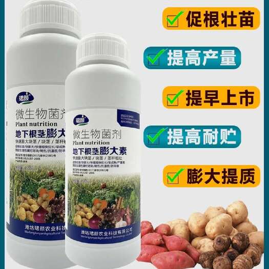 寿光市珺颜地下根茎膨大素快速膨大茎秆粗壮山药土豆马铃薯葱姜蒜水溶肥