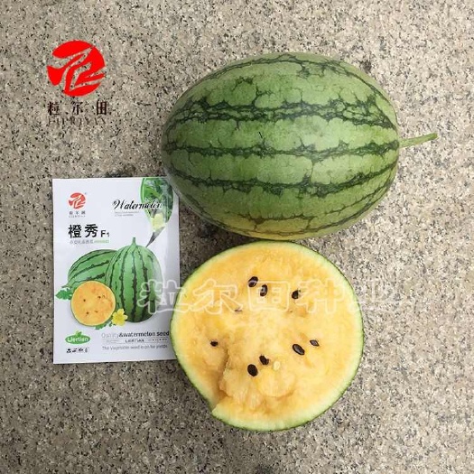 青县蔬菜西瓜种子花皮黄肉黄瓤西瓜种橙秀礼品西瓜种子四季阳台