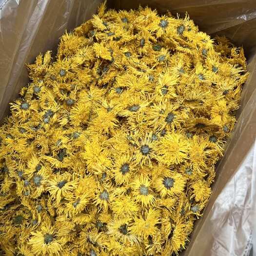 金丝皇菊干菊花菊花茶清凉解暑茶大货批发