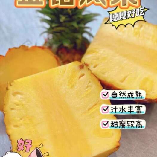 澄迈县金钻凤梨