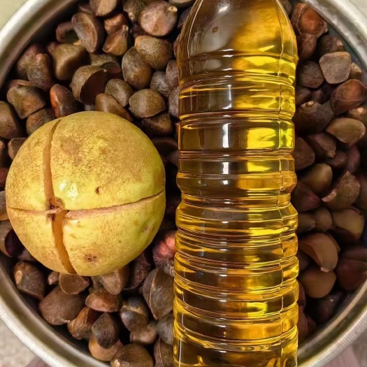 梧州山茶油，少量出售，50块500毫升一瓶。