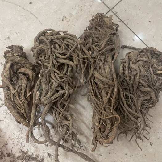 昆明当归头