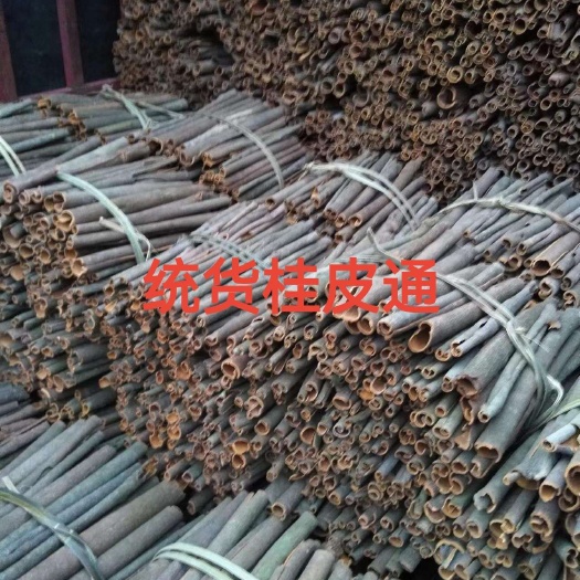 肇庆广东肉桂丝桂皮丝、桂皮、桂碎、桂通、烟桂各种规格，批发价优