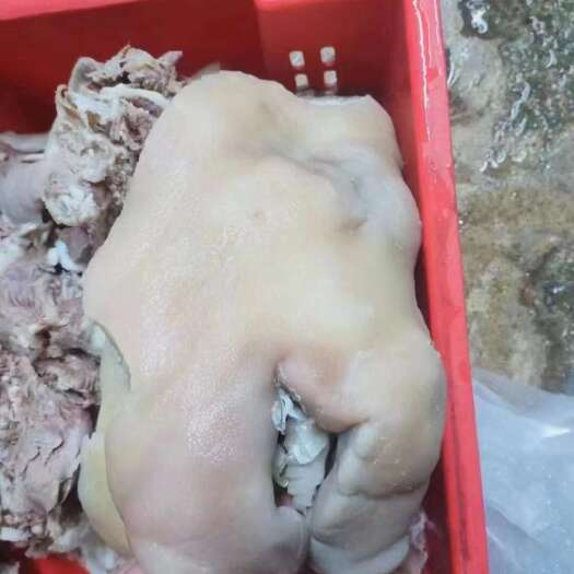 母猪猪头肉