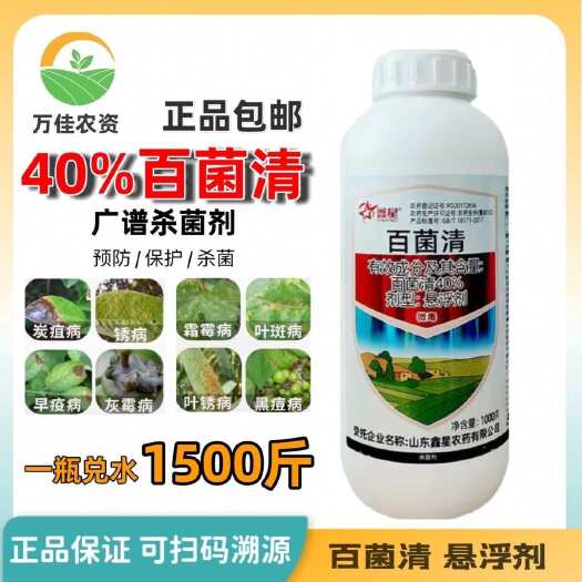 寿光市百菌清悬浮剂炭疽病叶斑霜霉病药柑橘果蔬花卉多肉农药杀菌剂月季