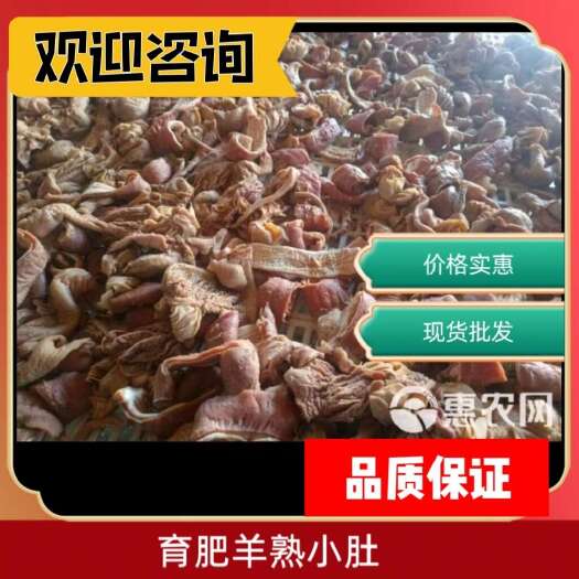 河间市育肥羊熟小肚