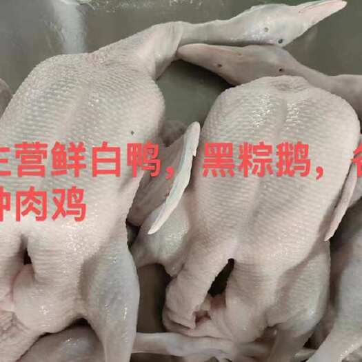  鸭肉