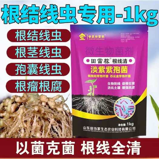 根结线虫专用药淡紫紫孢菌黄瓜西瓜柑橘蔬菜大硼辣椒线虫冲施肥