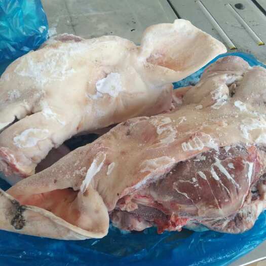 临沂母猪二级猪头，新货，常年生产，货源充足，供应稳定