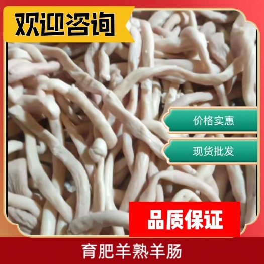 河间市育肥羊熟羊肠纯干无水份