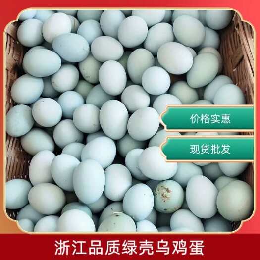 浙江品质绿壳乌鸡蛋