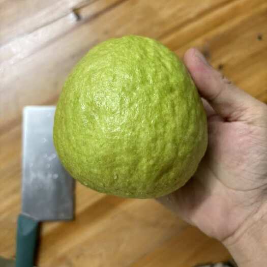 广州番石榴
