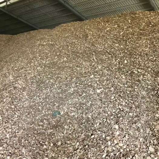 东兴市木薯干，现货销售，货场广西东兴