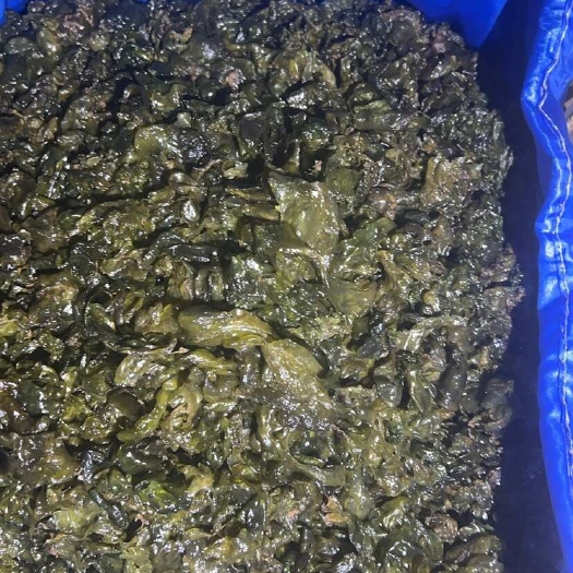 衡山县地皮菜