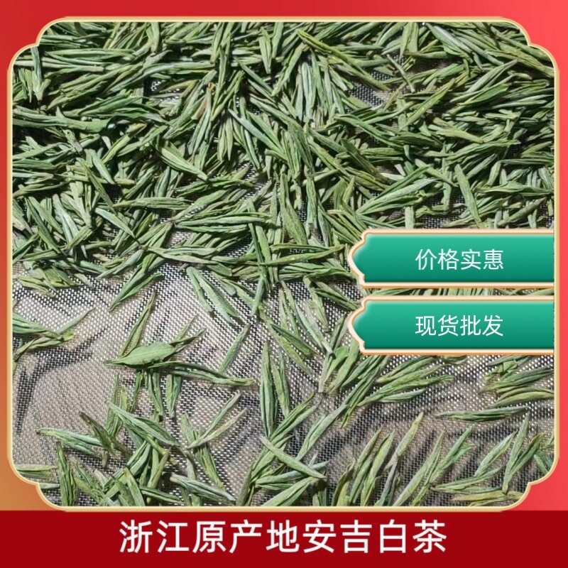 浙江安吉白茶明前茶