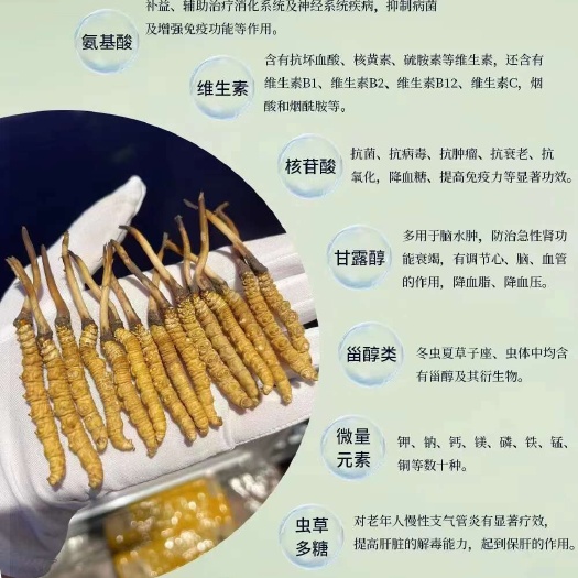 2025年鲜草
新鲜虫草上市
​​鲜草一年只有一次