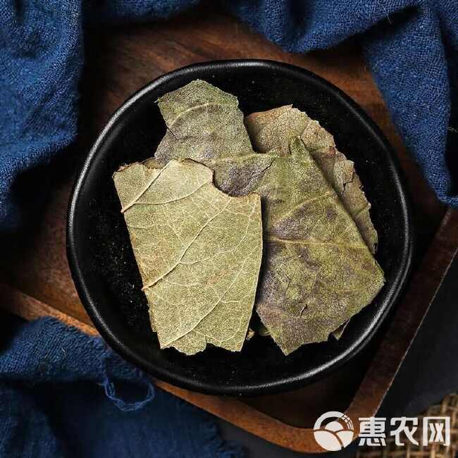 中药材新货柿子霜后叶非新鲜柿叶整张叶柿子叶茶柿子叶袋泡茶柿叶