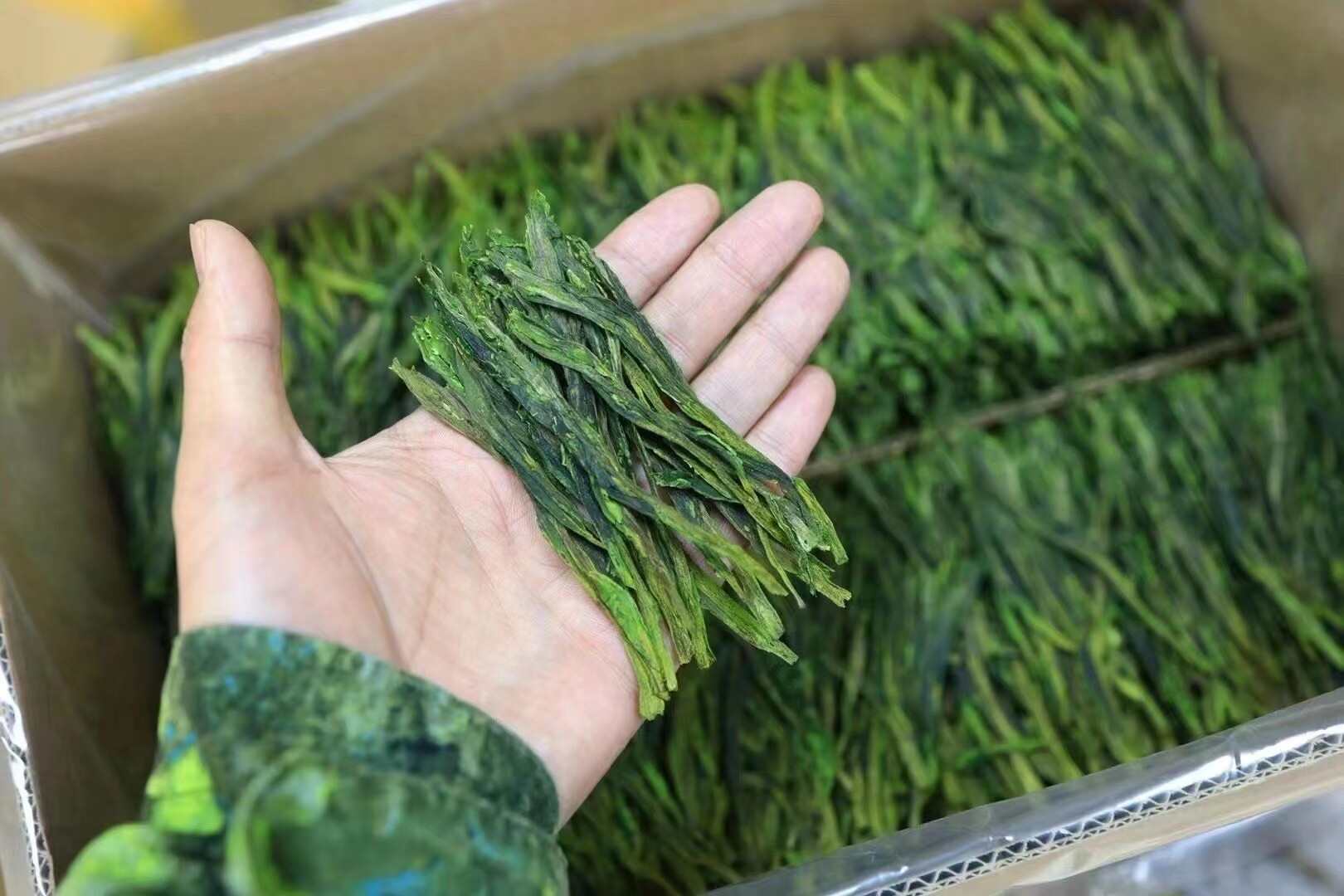 【新茶促销】太平猴魁茶叶新茶明前雨前特级安徽黄山绿茶