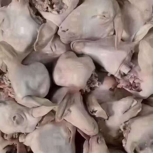 郑州羊头，羊光头，水退火烧白头花头都有