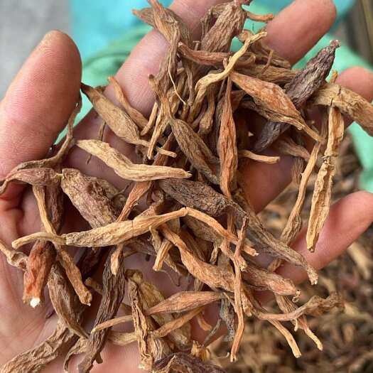 深山优质麦冬，质量保证，如假包换
