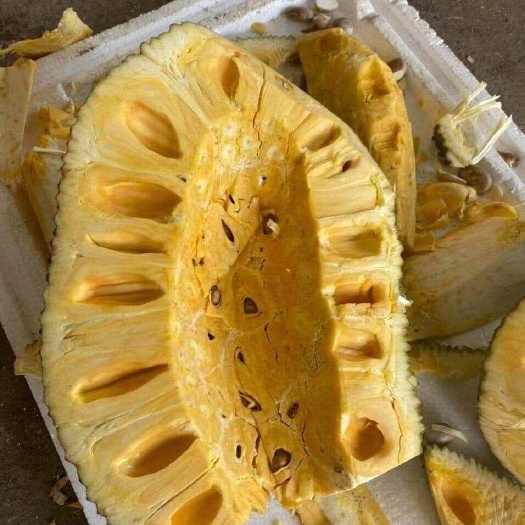 河口县泰八红肉菠萝蜜，干苞脆甜，产地直发