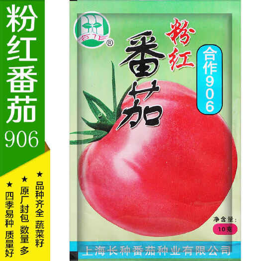 沭阳县粉红番茄合作906西红柿种子粉红番茄抗病高产大棚大田蔬菜种籽