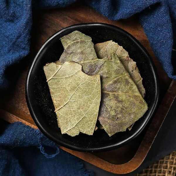 中药材新货柿子霜后叶非新鲜柿叶整张叶柿子叶茶柿子叶袋泡茶柿叶