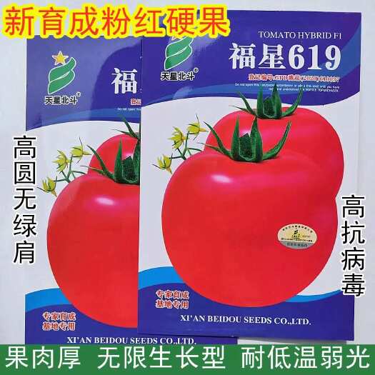 沭阳县福星619西红柿种子粉红早熟大果沙瓤抗病寒蕃茄大棚盆栽蔬菜种