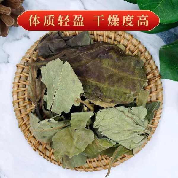 中药材新货柿子霜后叶非新鲜柿叶整张叶柿子叶茶柿子叶袋泡茶柿叶