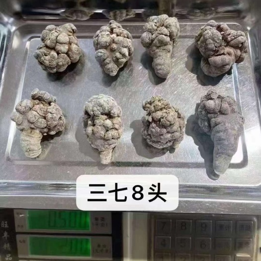 云南文山三七干货大货批发 产地直销保证质量 免费打粉