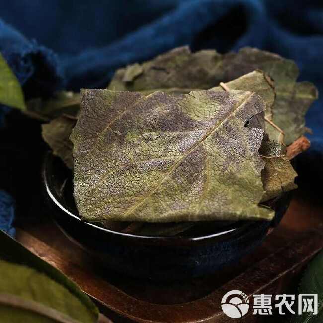 中药材新货柿子霜后叶非新鲜柿叶整张叶柿子叶茶柿子叶袋泡茶柿叶