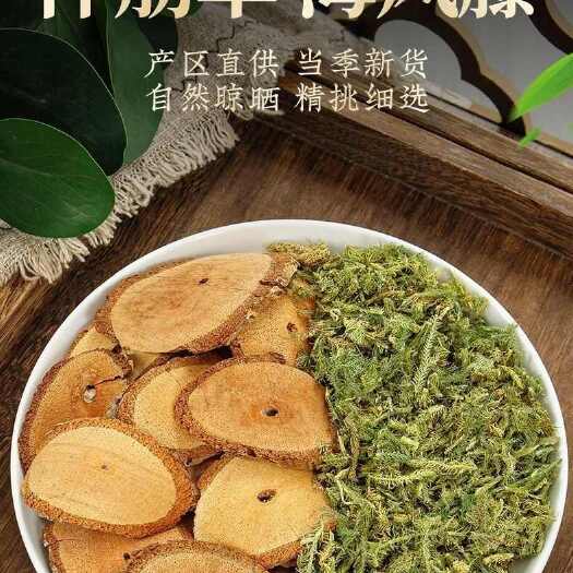 巴马县海风藤  伸筋草
