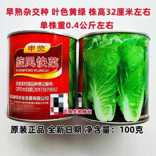 沭阳县申荣旋风快菜种子早熟速生小白菜种籽四季播毛白菜杭白菜种子高产