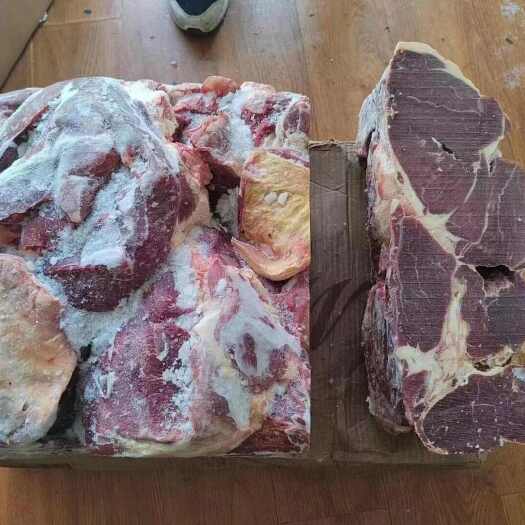 锡林浩特国产牛肉清真牛肉牛前牛后牛腩牛腱纯干货大块牛肉工厂用原材料