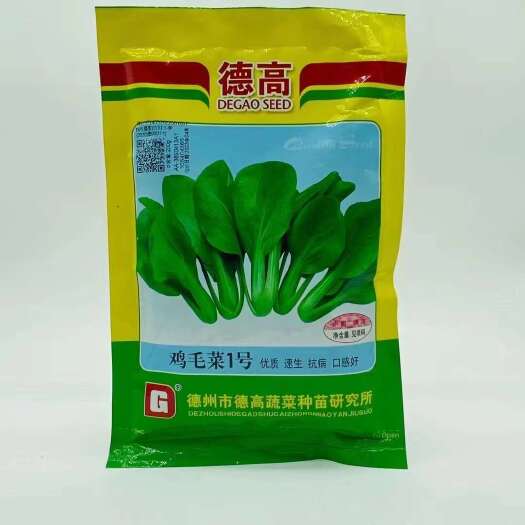 宿迁鸡毛菜种子耐热耐湿抗病鸡毛菜种子小青菜种子青梗菜种子