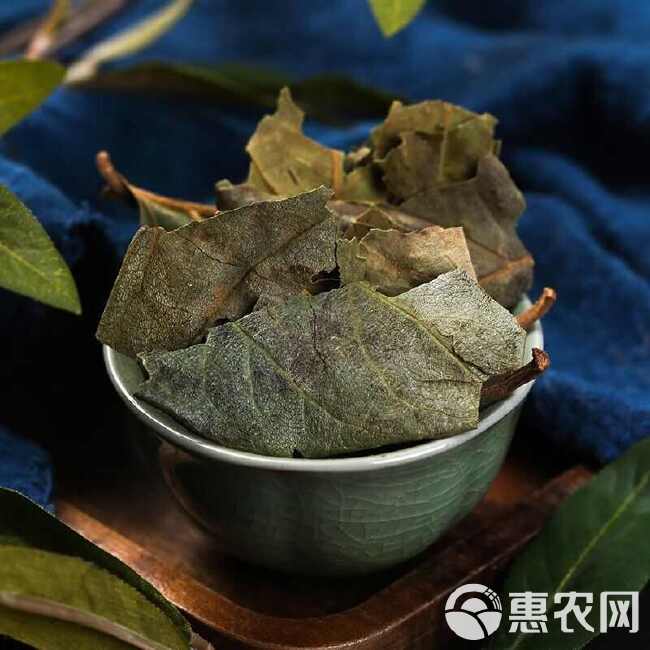 中药材新货柿子霜后叶非新鲜柿叶整张叶柿子叶茶柿子叶袋泡茶柿叶