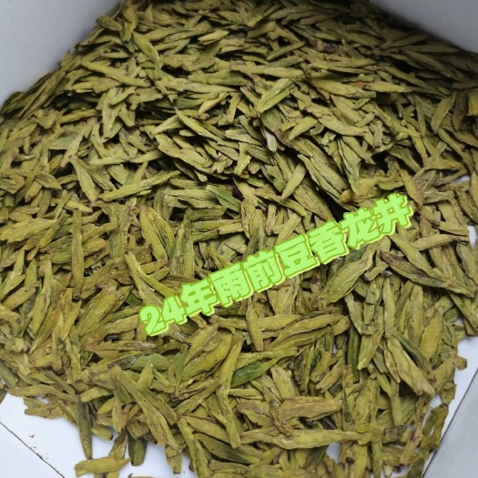新昌县24年新茶雨前龙井大佛龙井新昌本地茶豆香味高山绿茶