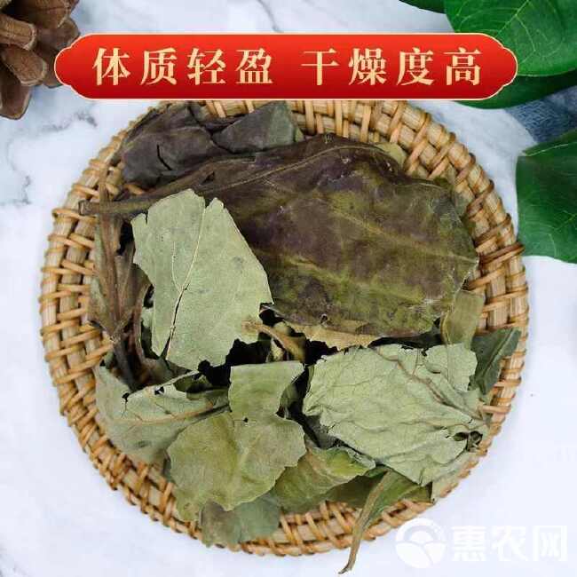 中药材新货柿子霜后叶非新鲜柿叶整张叶柿子叶茶柿子叶袋泡茶柿叶