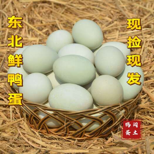 海城市东北青壳鲜鸭蛋30枚现捡现发